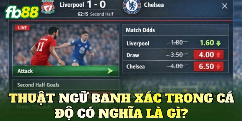 Thuật ngữ banh xác trong cá độ có nghĩa là gì?