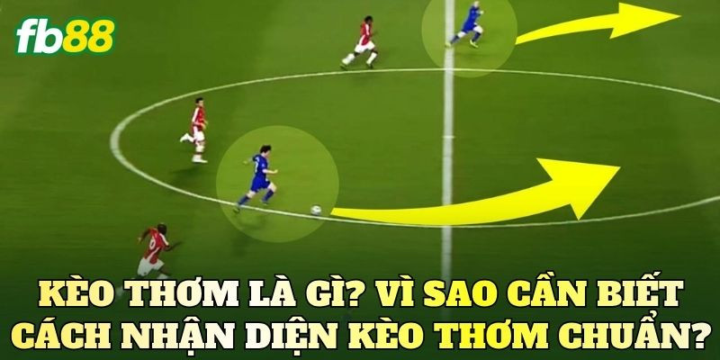 Kèo thơm là gì? Vì sao cần biết cách nhận diện kèo thơm chuẩn?