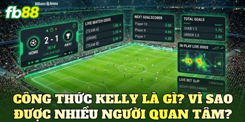 Công thức Kelly là gì? Vì sao được nhiều người quan tâm?