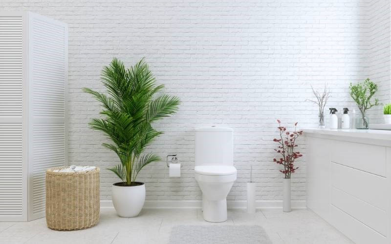 Answering Common Questions About Sanitary Ware