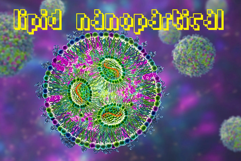a9eb1e866dda001a7b9e19bebed935af.jpg