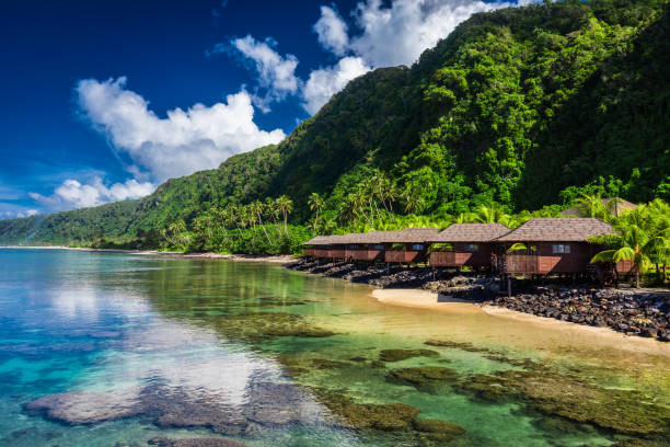 20,300+ Samoa Stock Photos, Pictures & Royalty-Free Images - iStock | Samoan, Tonga, Pacific islands