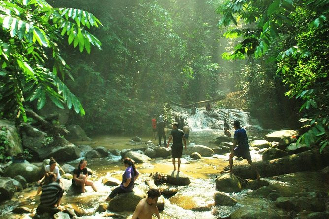 2025 The Dusun : Jungle Trekking Adventure to Waterfall with Jungle Guide  (Kuala Lumpur) - with Reviews