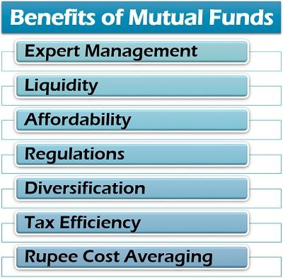 What is a Mutual Fund? Definition, Example, Benefits, Limitations, Types - The Investors Book