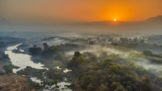 New plateau found in Maharashtra houses 76 species of plants, clues to  surviving climate change