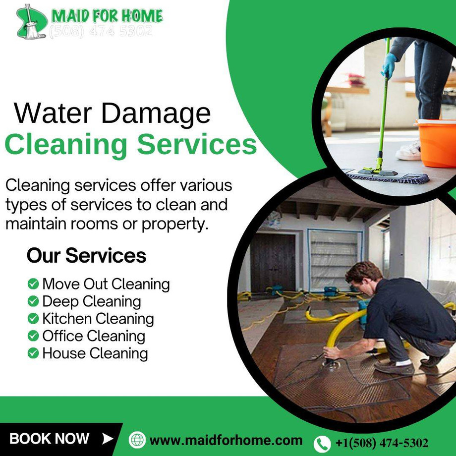 Best Water Damage Clean Up Services in Natick