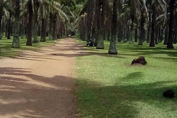 Exploring Abidjan: From Urban Jungle to Colonial Echoes