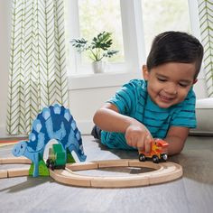 This may contain: a young boy playing with his wooden dinosaur train set