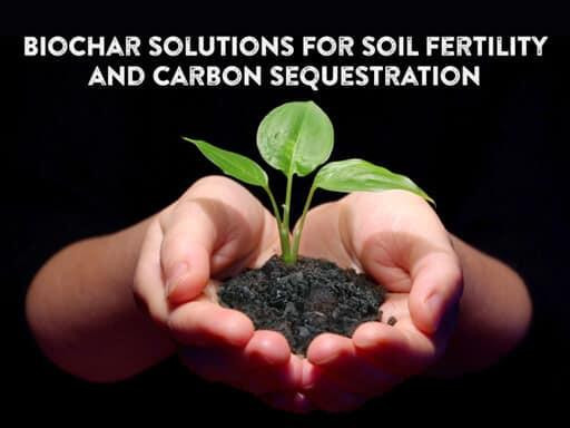 31-Biochar-solutions-for-soil-fertility-and-Carbon-sequestration-1.jpg