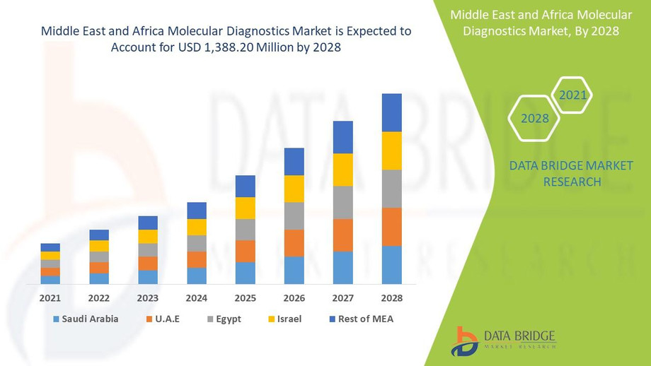 middleeastandafricamoleculardiagnosticsmarketindustrytrendsandforecastto2028.jpg