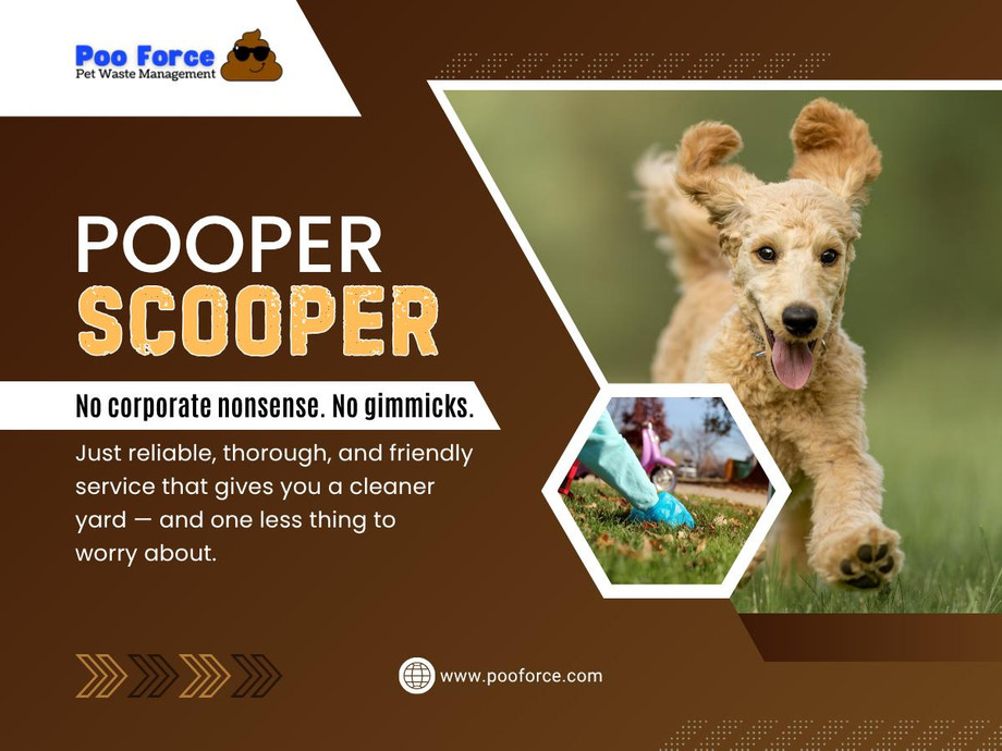 pooperscoopernearme.jpg