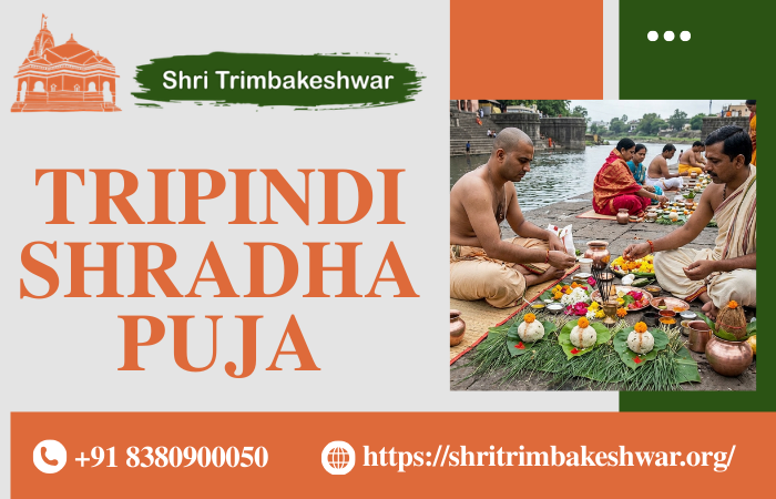 tripindishradhapuja.png