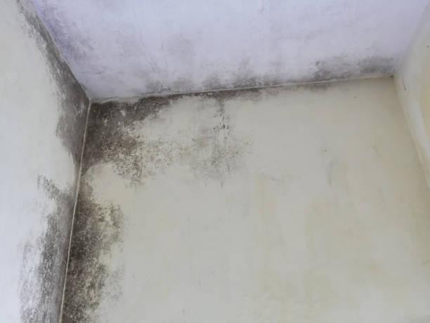 waterdamagerestoration06.jpg