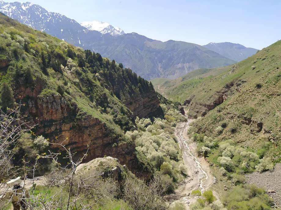 trekkingtouruzbekistan13.jpg