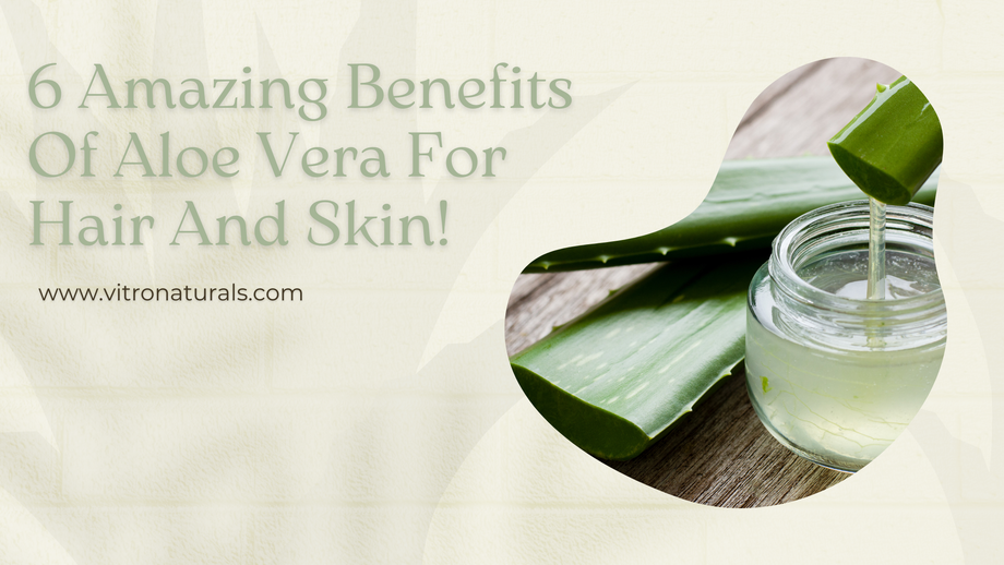 6amazingbenefitsofaloeveraforhairandskin.png