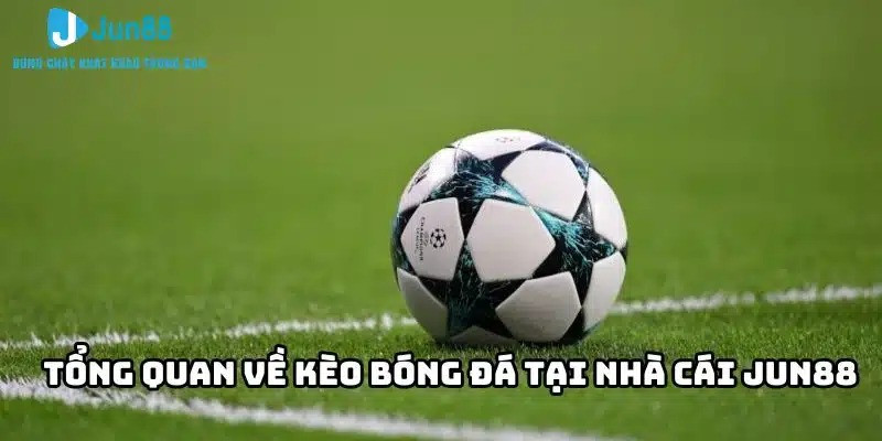 tongquanvekeobongdatainha.jpg
