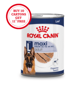 dogfoodforjointpain3.png