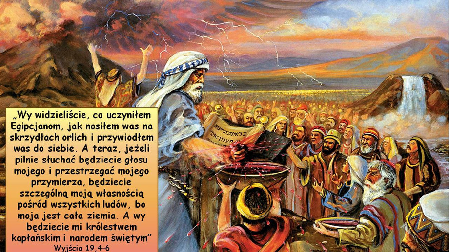 pl_vm2025t308.jpg