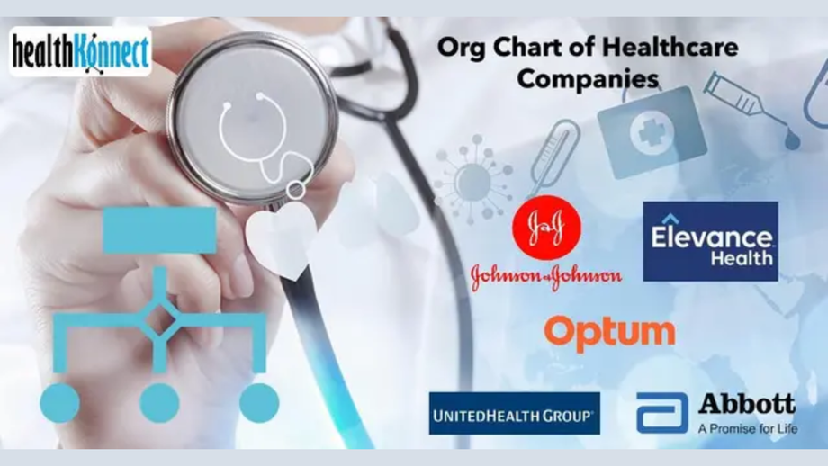 healthcompanyorgcharts.png