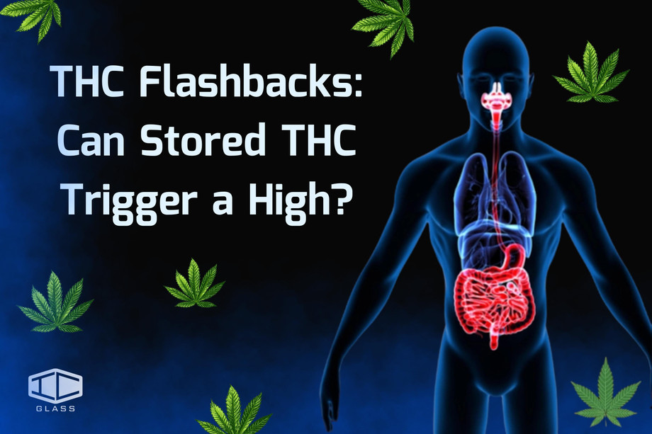 thcflashbackscanstoredthctriggerahigh.jpg