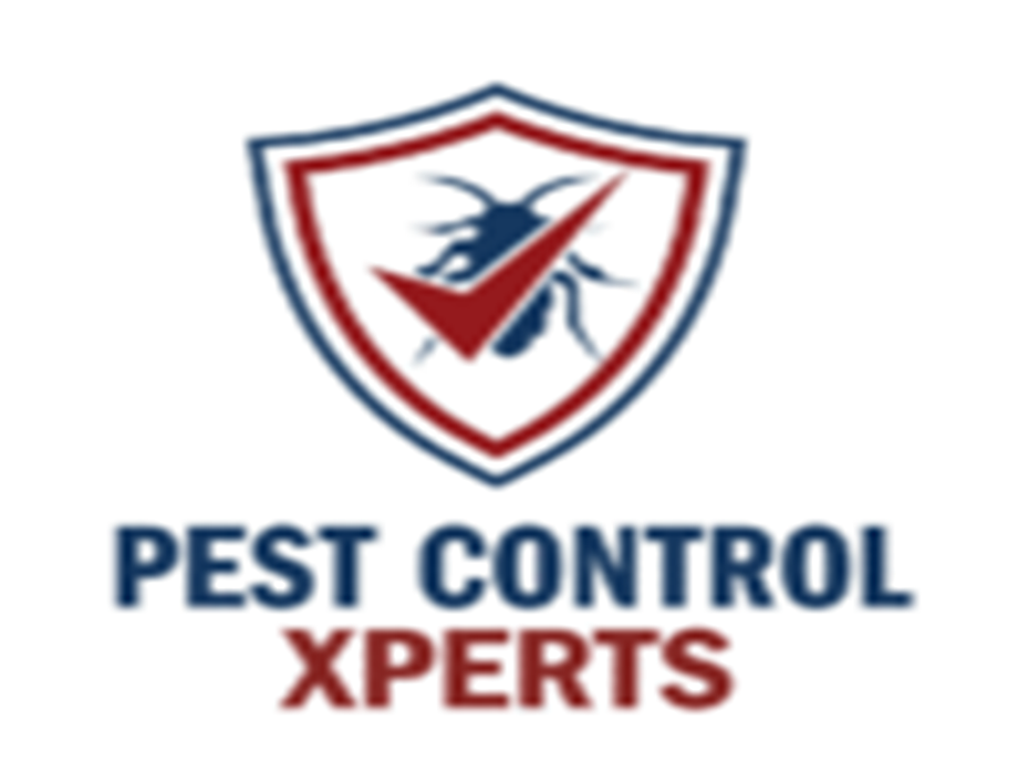 logo.png