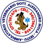 logoambvet.png