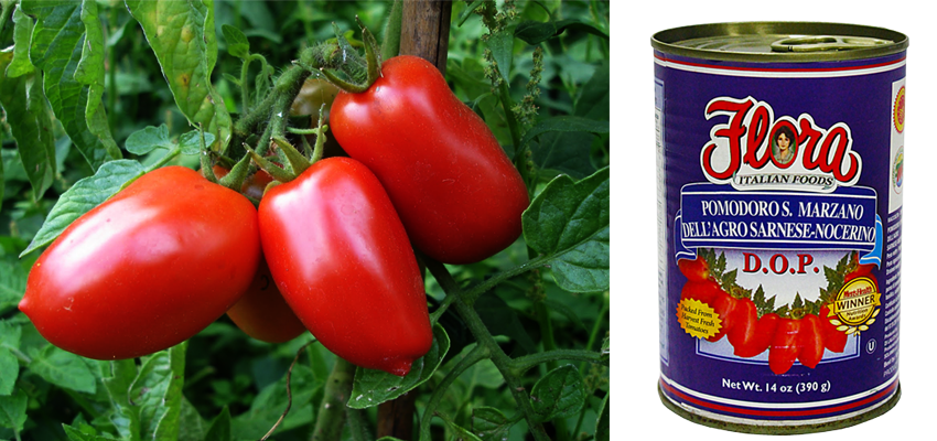 dop_san_marzano_canned_tomatoes_florafoods.png