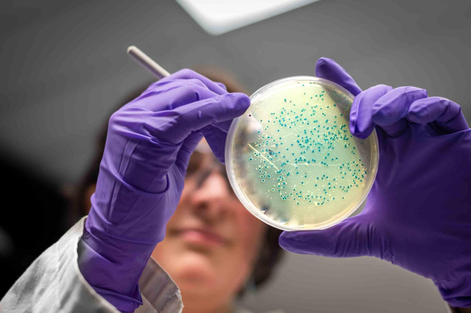 jpegoptimizer_microbiomeresearchinmicrobiologylaboratory20241128111148utc.jpg