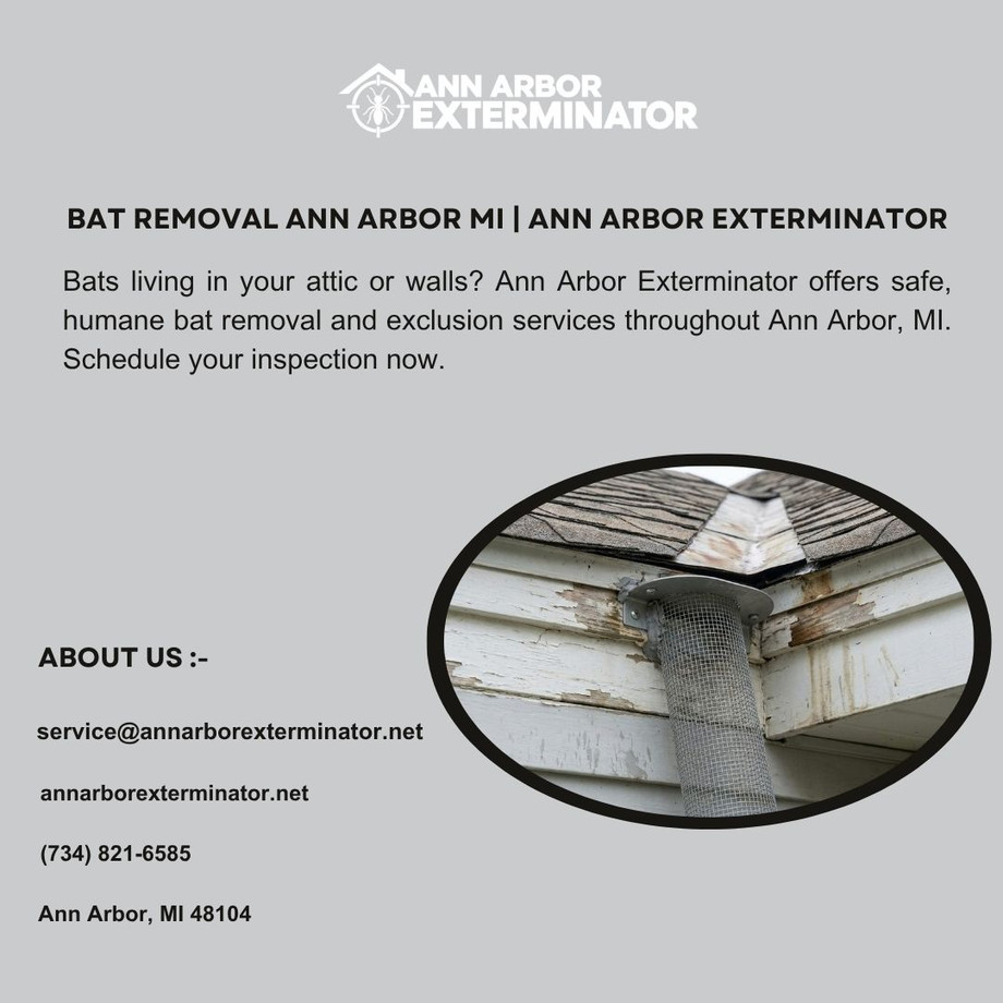 batremovalannarbormiannarborexterminator.jpg