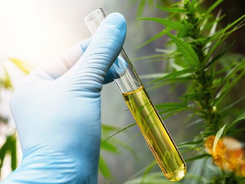 cbdoilextractionpure5500x375.jpg