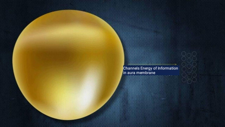 20250114014020.jpg