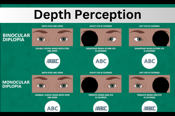 depthperception.png