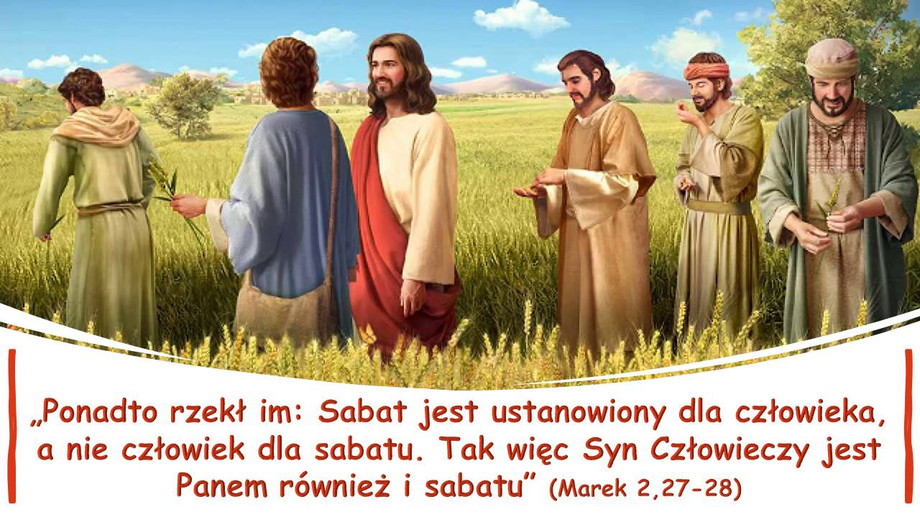 pl_vm2024t303.jpg
