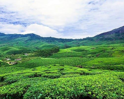 jardinesdetedemunnar1.jpg