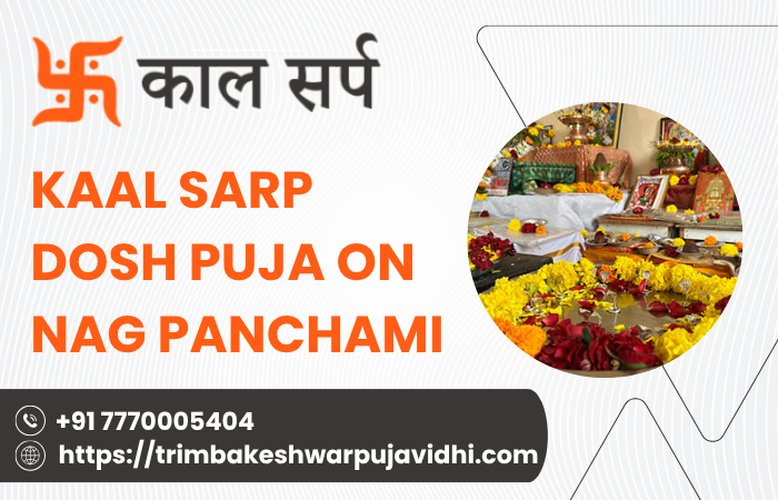kaalsarpdoshpujaonnagpanchami.png