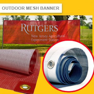 mesh_banner_small1.jpg