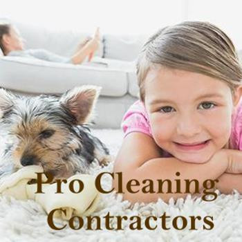 Pro-Cleaning-contractor-350x350.jpg