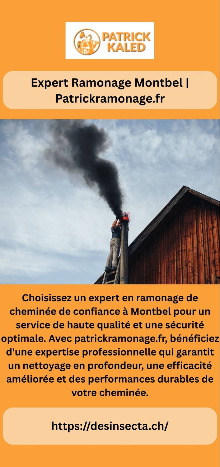 expertramonagemontbelpatrickramonagefr.jpg