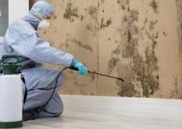 mouldcleaningcompany.jpg