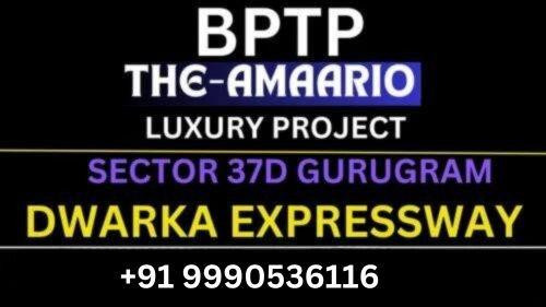 bptpnewproject.jpg