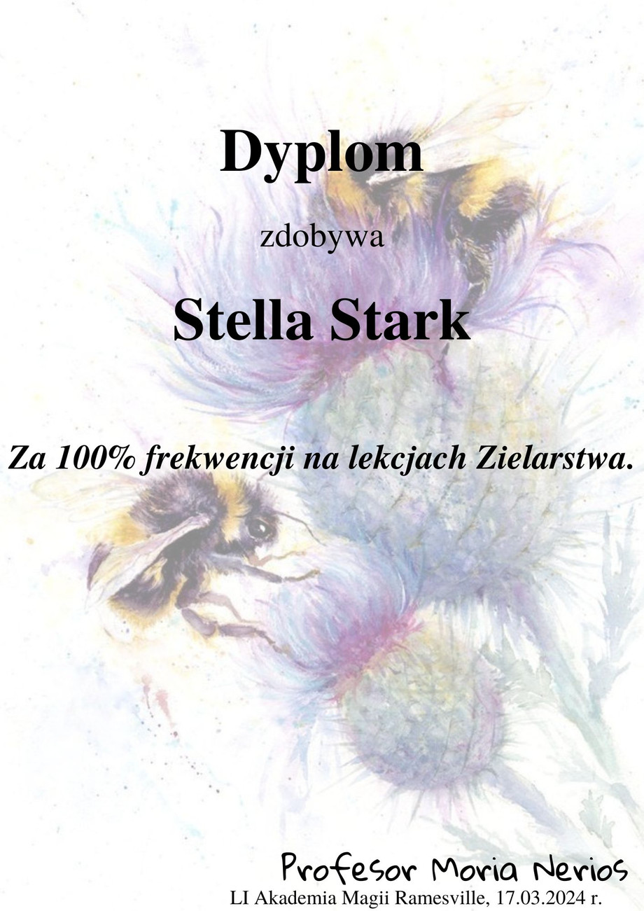 dyplom67.jpg