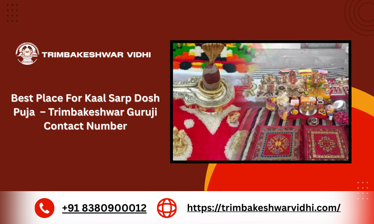 bestplaceforkaalsarpdoshpujatrimbakeshwargurujicontactnumber.png