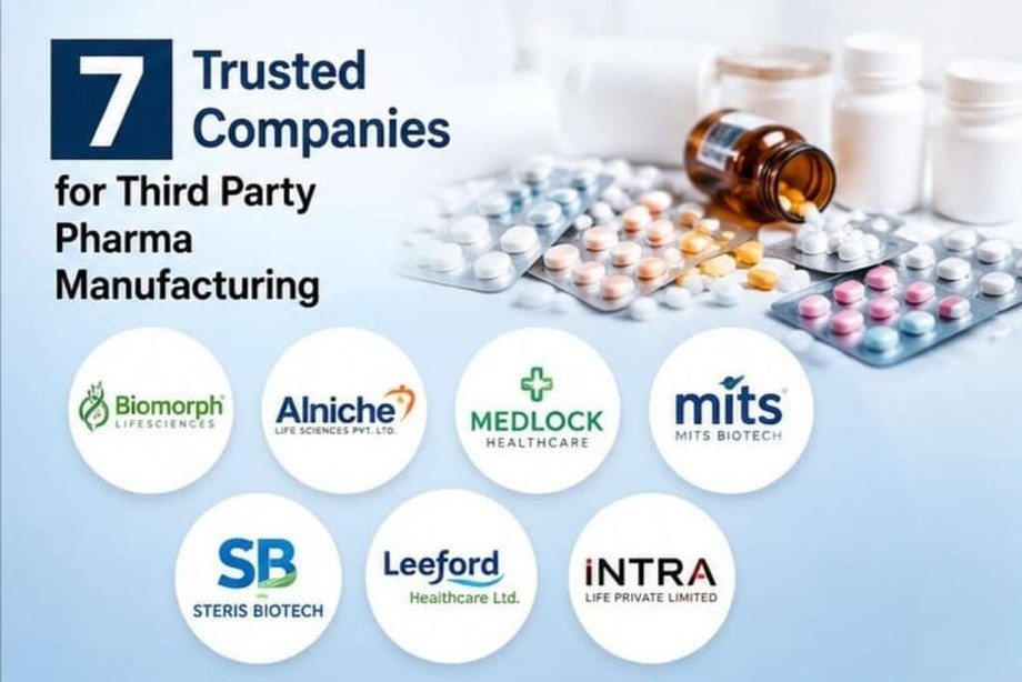 trusted_companies_1536x10241024x683.jpeg
