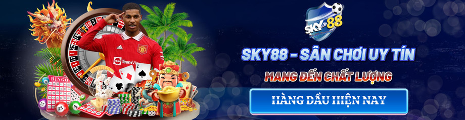 sky88financebanner.jpg