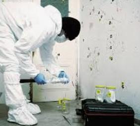 biohazardcleaners.jpg