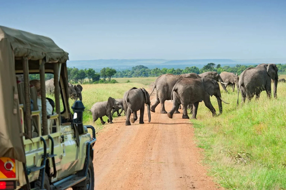 safaridriveelephants1536x1024.jpg
