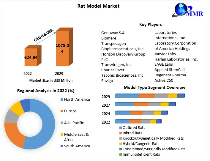 ratmodelmarket.webp