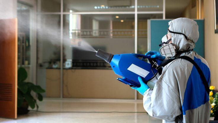 pestcontrolservices.jpg