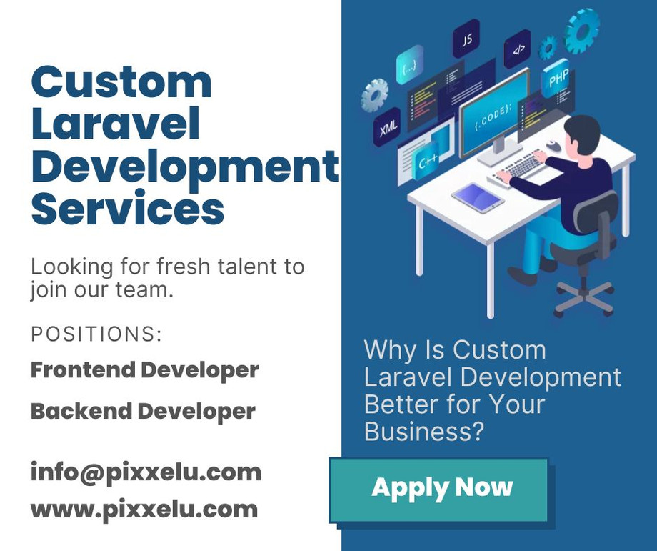 hirecustomlaraveldevelopmentservicespixxeludigitaltechnology.jpg