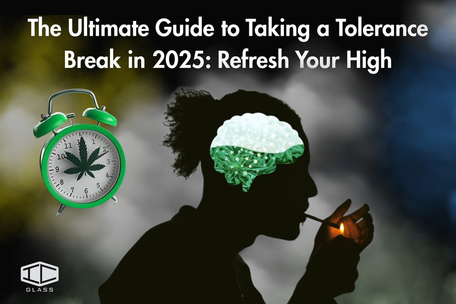 theultimateguidetotakingatolerancebreakin2025refreshyourhigh.jpg